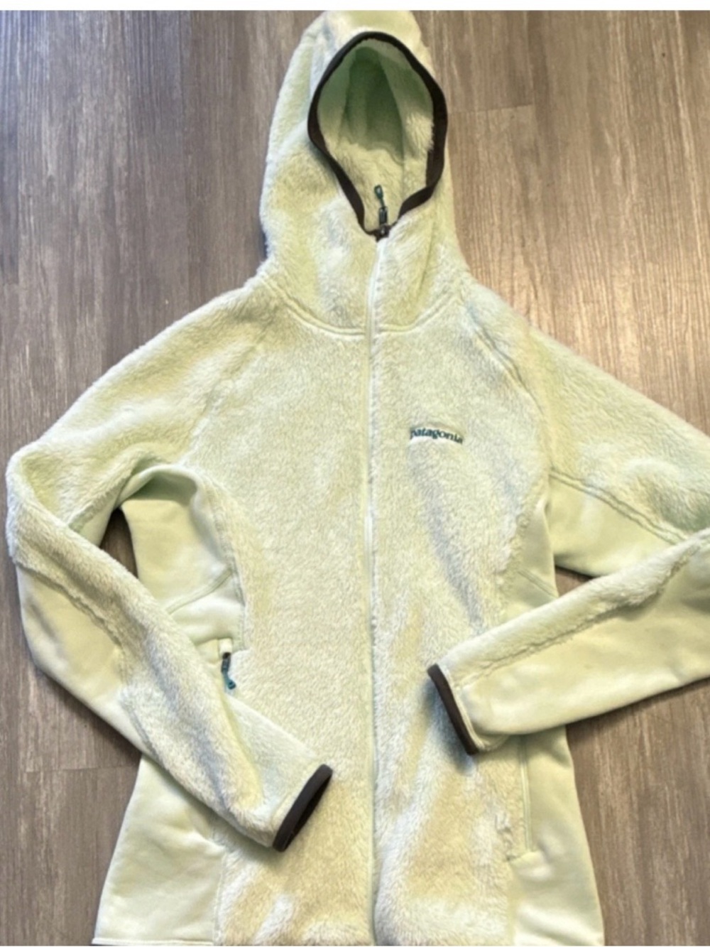 Patagonia Light Green Plush Full-Zip Hooded Fleece Jacket